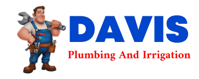 Trusted plumber in HIRAM